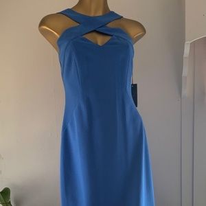 Vince Camuto Beautiful, Sexy, Bodycon Dress, BRAND NEW WITH TAGS. Size 6